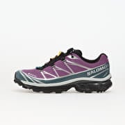 Salomon XT-6 GTX Concog/ Stormw/ Ftw Silver