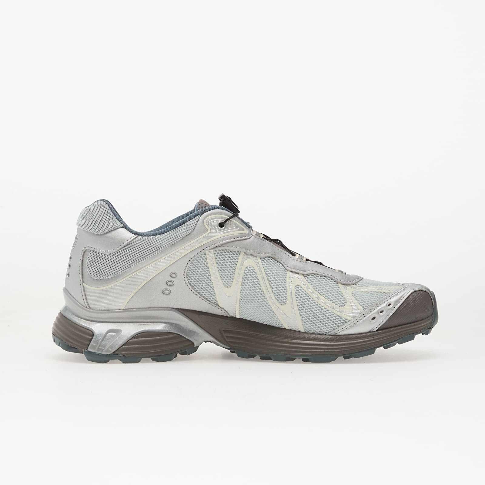 Herren Sneaker und Schuhe Salomon XT-Whisper Ftw Silver/ Ice Fl/ Dark G