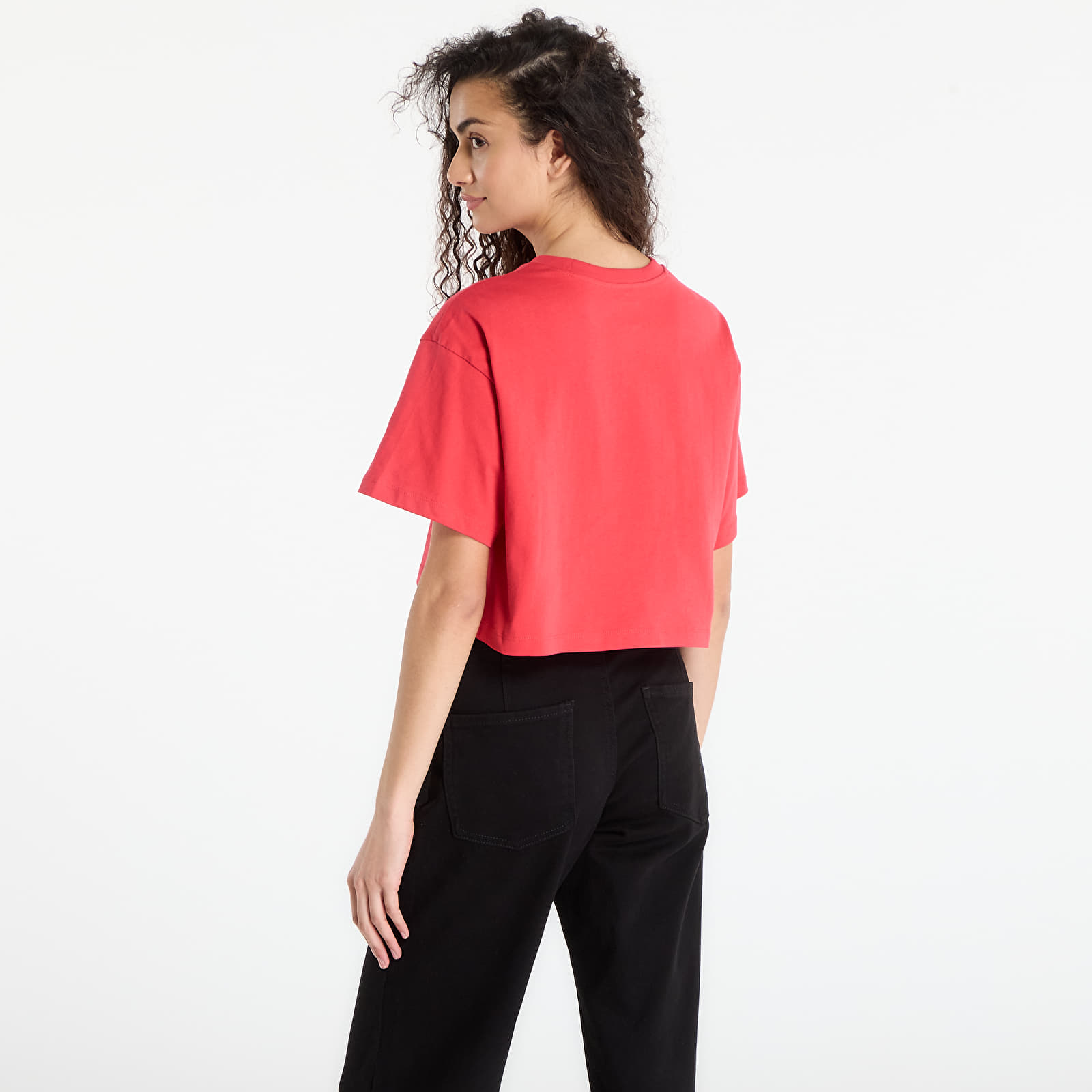 T-shirts för kvinnor Vans W Salton Relax Crop SS T-Shirt Crimson Haze