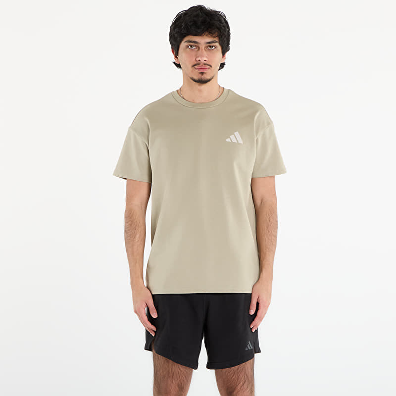 Футболка adidas Terrex Xploric Graphic T-Shirt Wonder Cargo