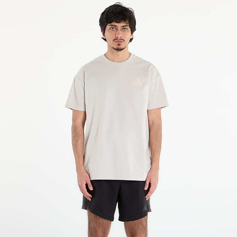 Majice adidas Terrex Xploric Climacool Graphic T-Shirt Wonder Alumina