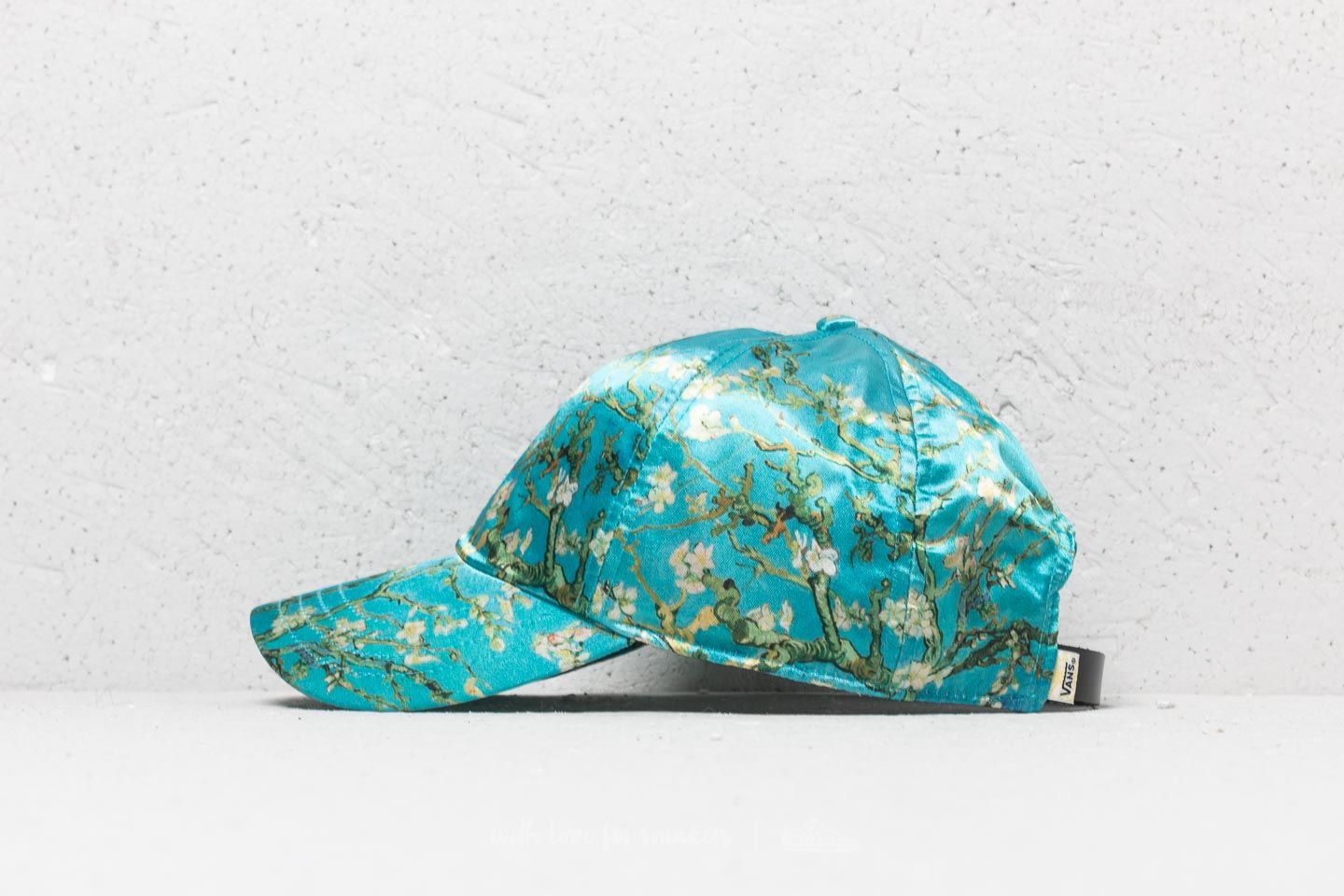 Van gogh 2024 vans hat