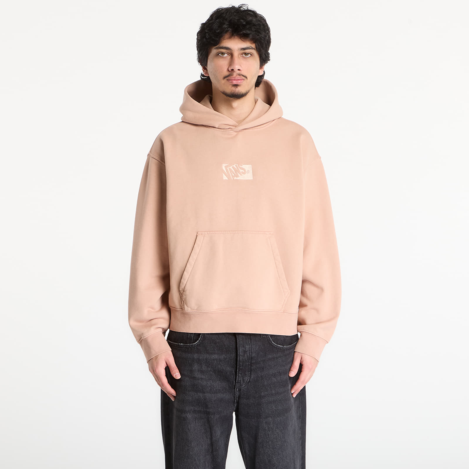 Hoodies och sweatshirts Vans Premium Pullover Warm Taupe