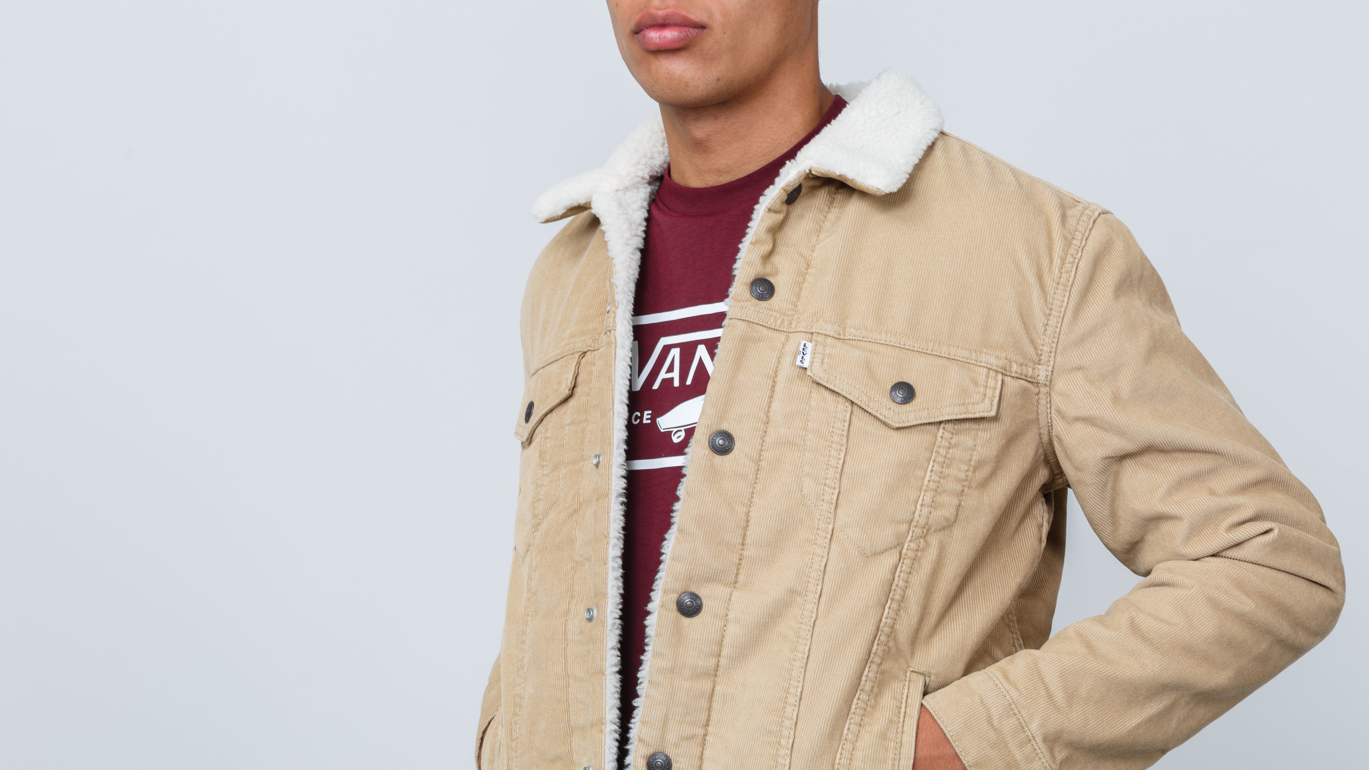 Levi's type 3 sherpa trucker jacket true chino cord sales better