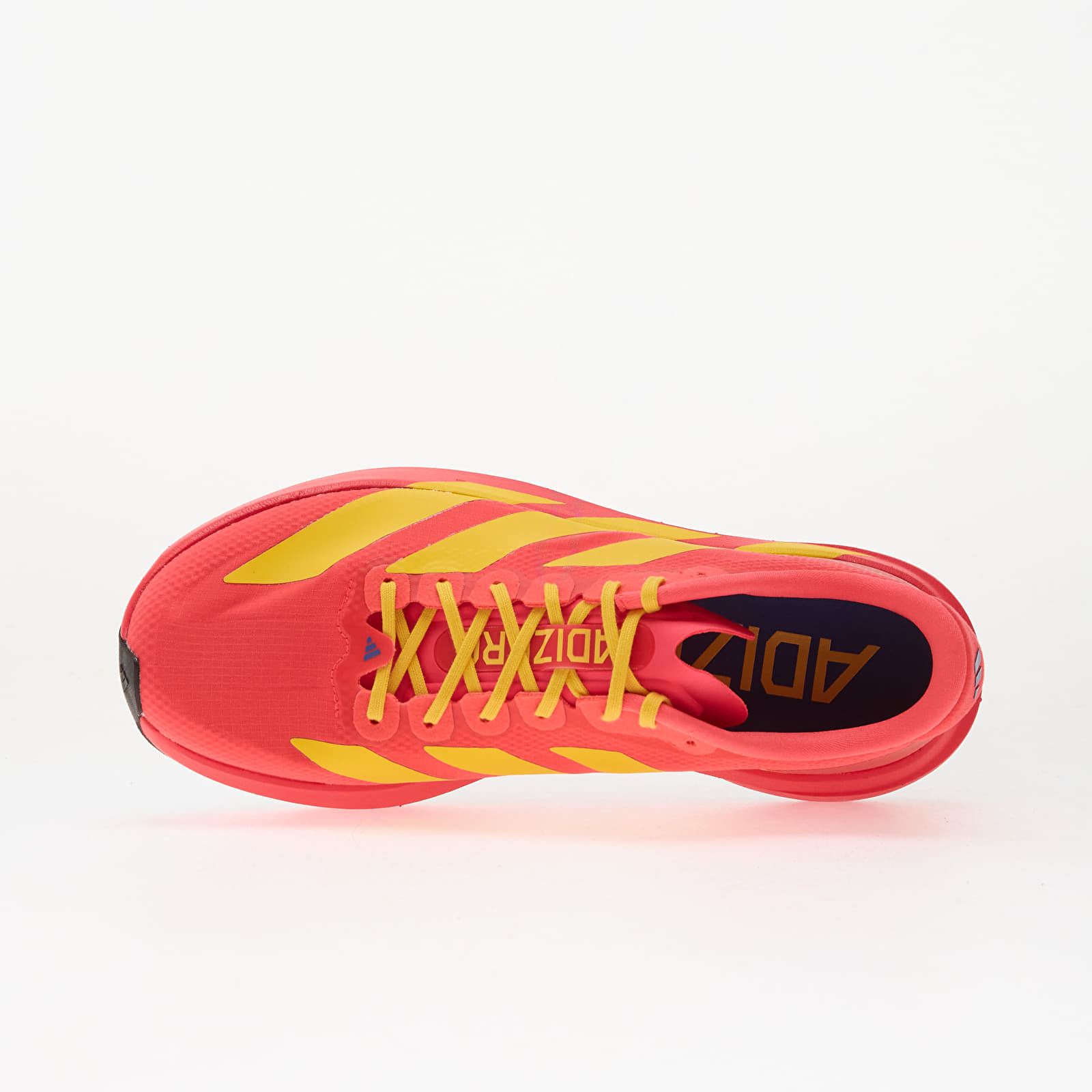 Dámské tenisky a boty adidas Adizero Evo Sl Lucid Red/ Bold Gold/ Semi Lucid Blue