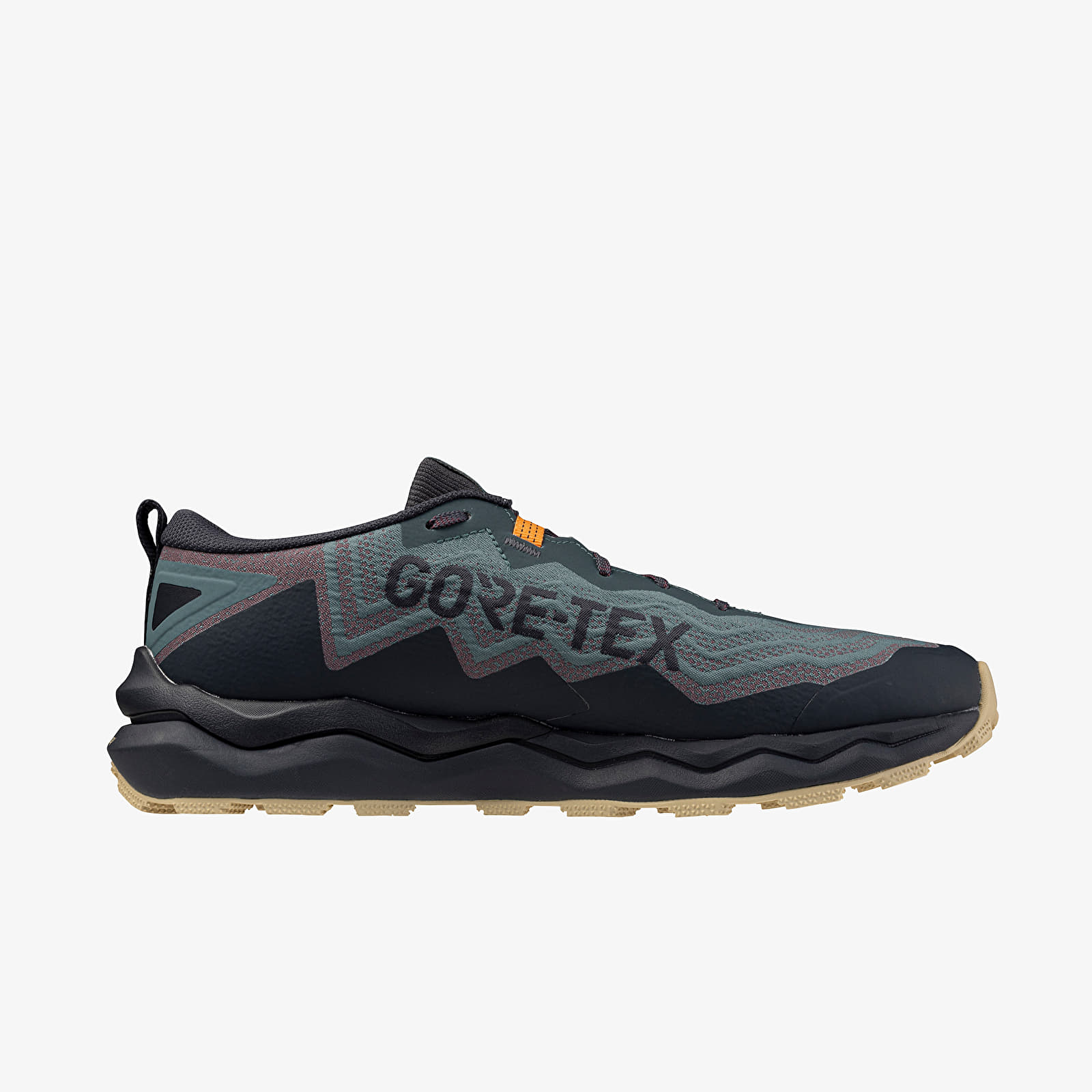 Men's shoes Mizuno Wave Daichi 9 Gtx (M) North Atlantic/ Black/ Pale Khak