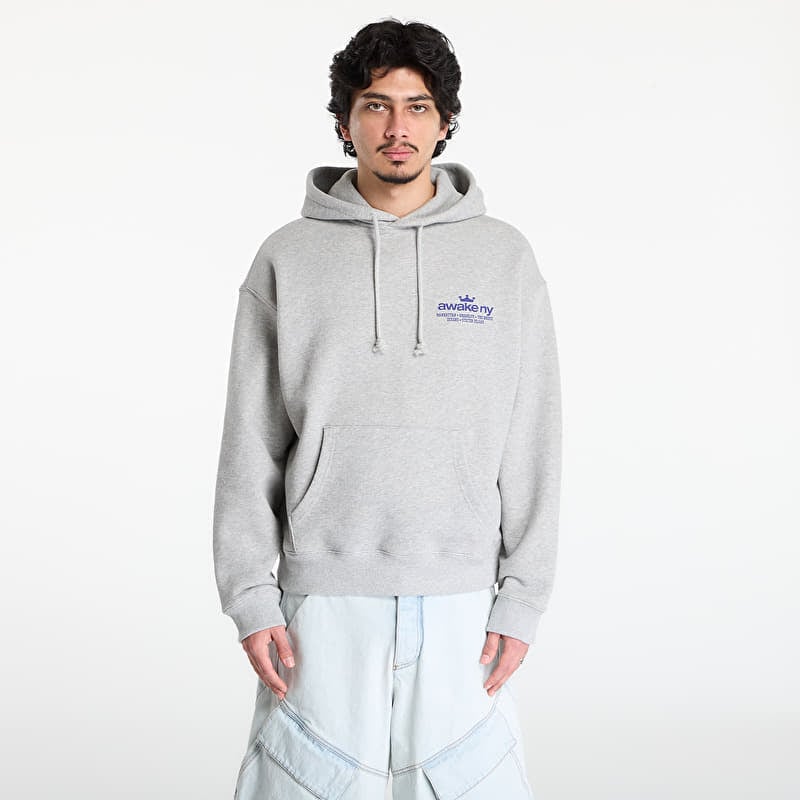 Felpa Awake NY Good Everywhere Pullover Hoodie Heather Gray