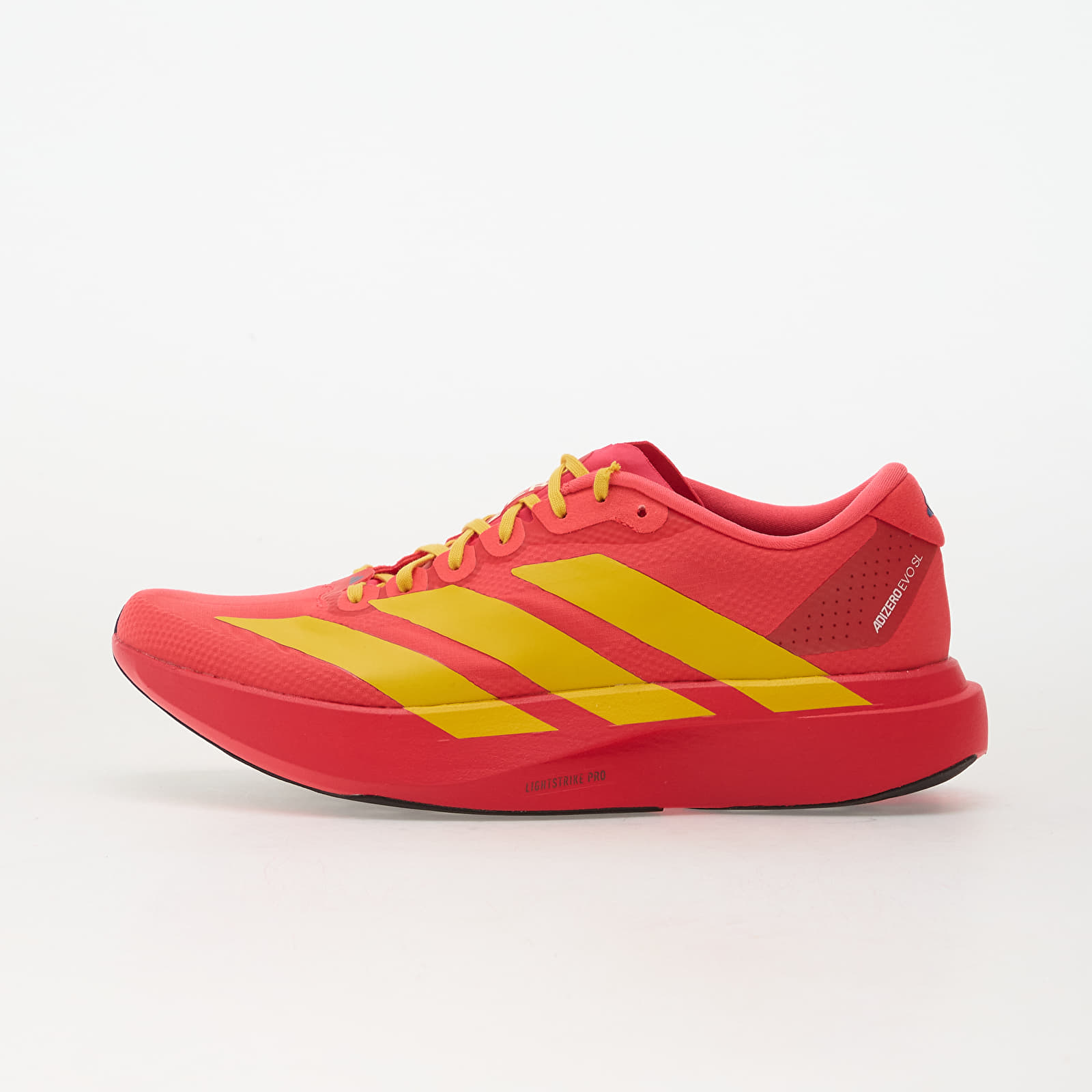 Scarpe uomo adidas Adizero Evo Sl Lucid Red/ Bold Gold/ Semi Lucid Blue