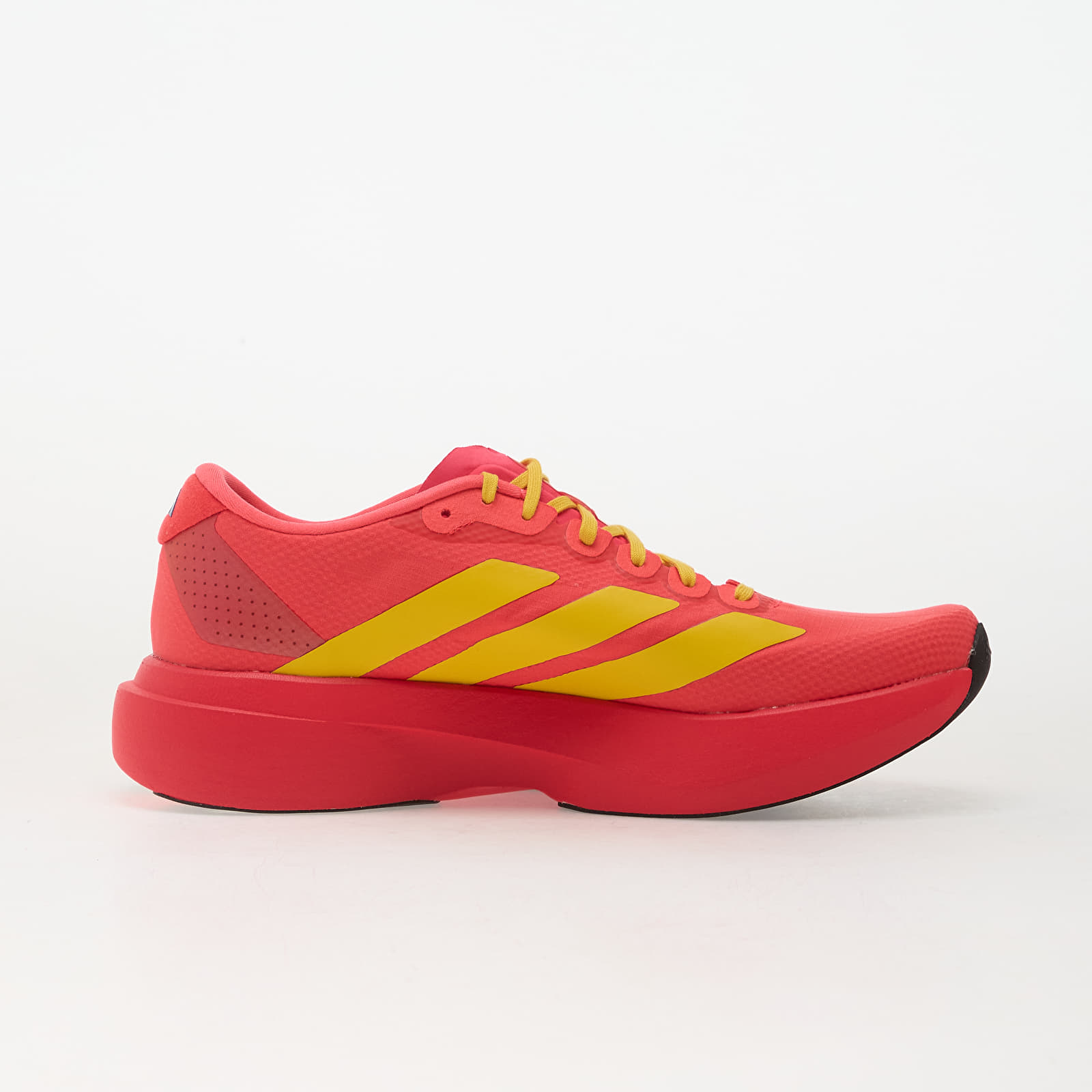 Scarpe uomo adidas Adizero Evo Sl Lucid Red/ Bold Gold/ Semi Lucid Blue