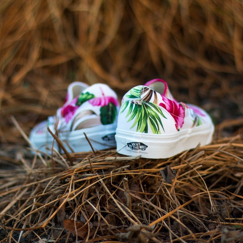 Hawaiian print vans outlet slip ons