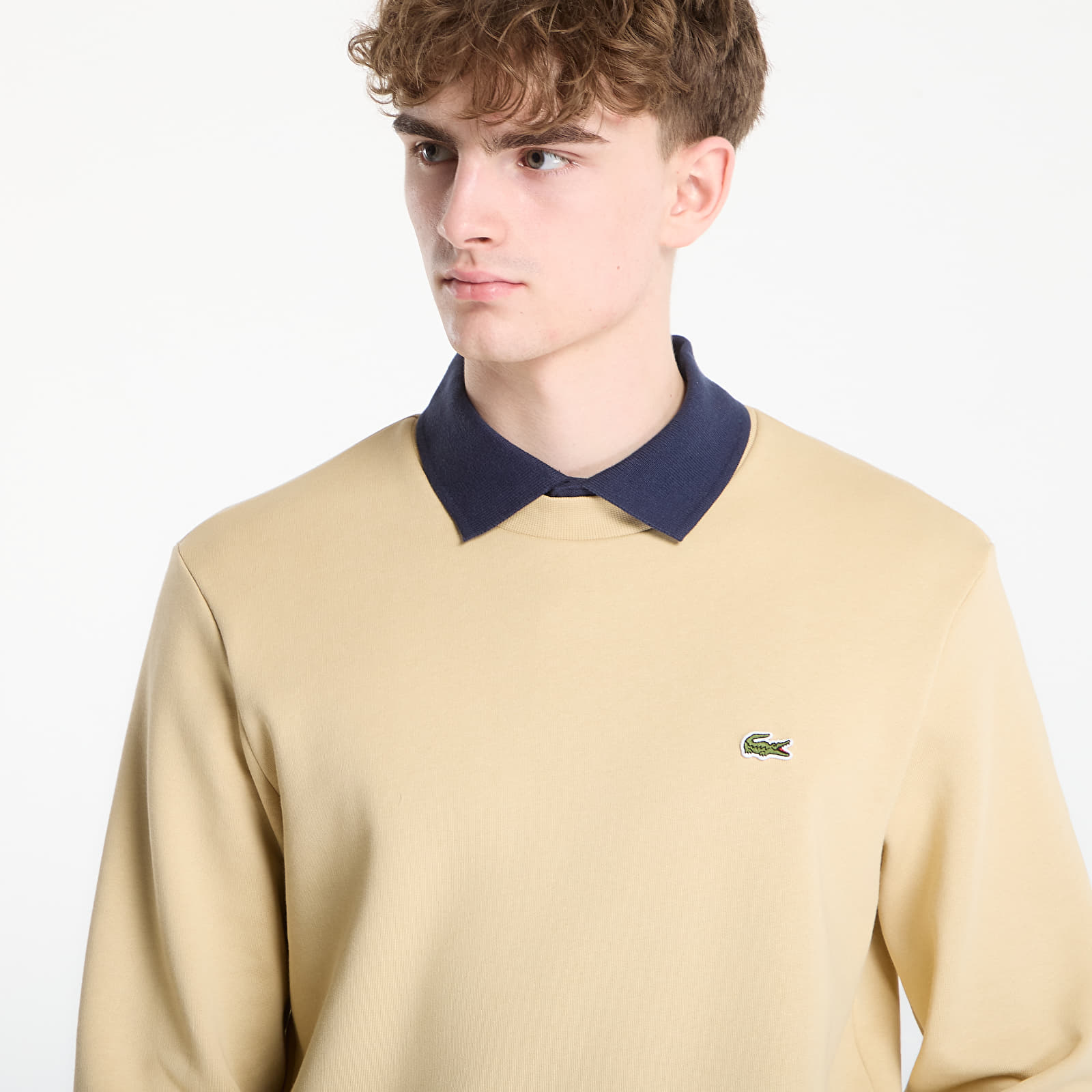 Ανδρικά φούτερ  LACOSTE Sweatshirt Millet