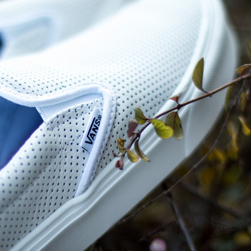 White 2024 perf vans