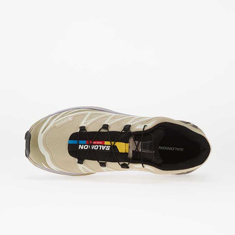 Salomon XT-6 GTX Eucalyptus/ Silves/ Cosmic | Footshop