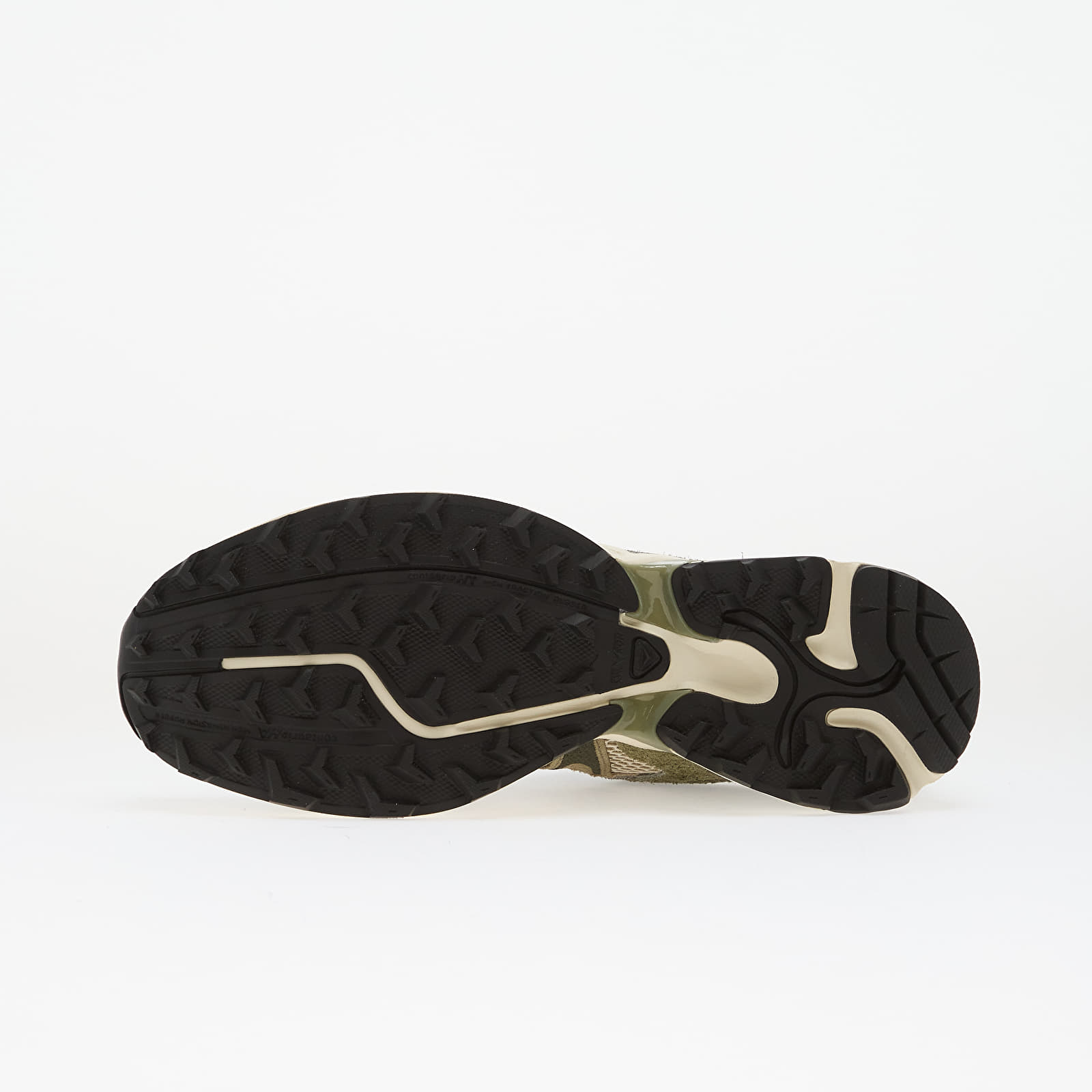 Vīriešu apavi Salomon XT-Whisper Embroidery Dlicgr/ Eucaly