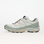 Salomon XT-6 GTX White/ Green Milieu/ Ice Fl
