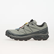 Salomon XT-6 GTX Wrought Iron/ Ubnchi/ Sedsa