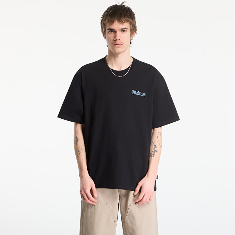 Dickies Fairlawn Ss Tee Black