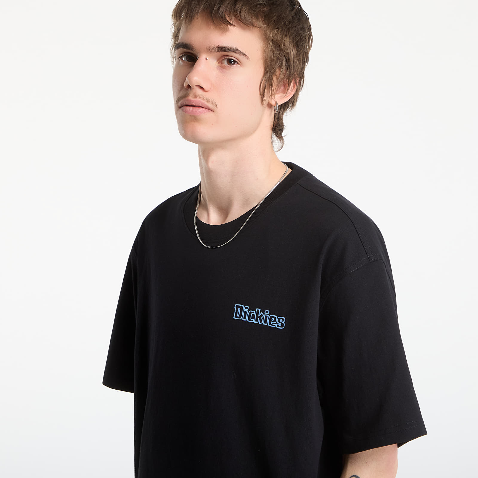 T-shirts Dickies Fairlawn Ss Tee Black