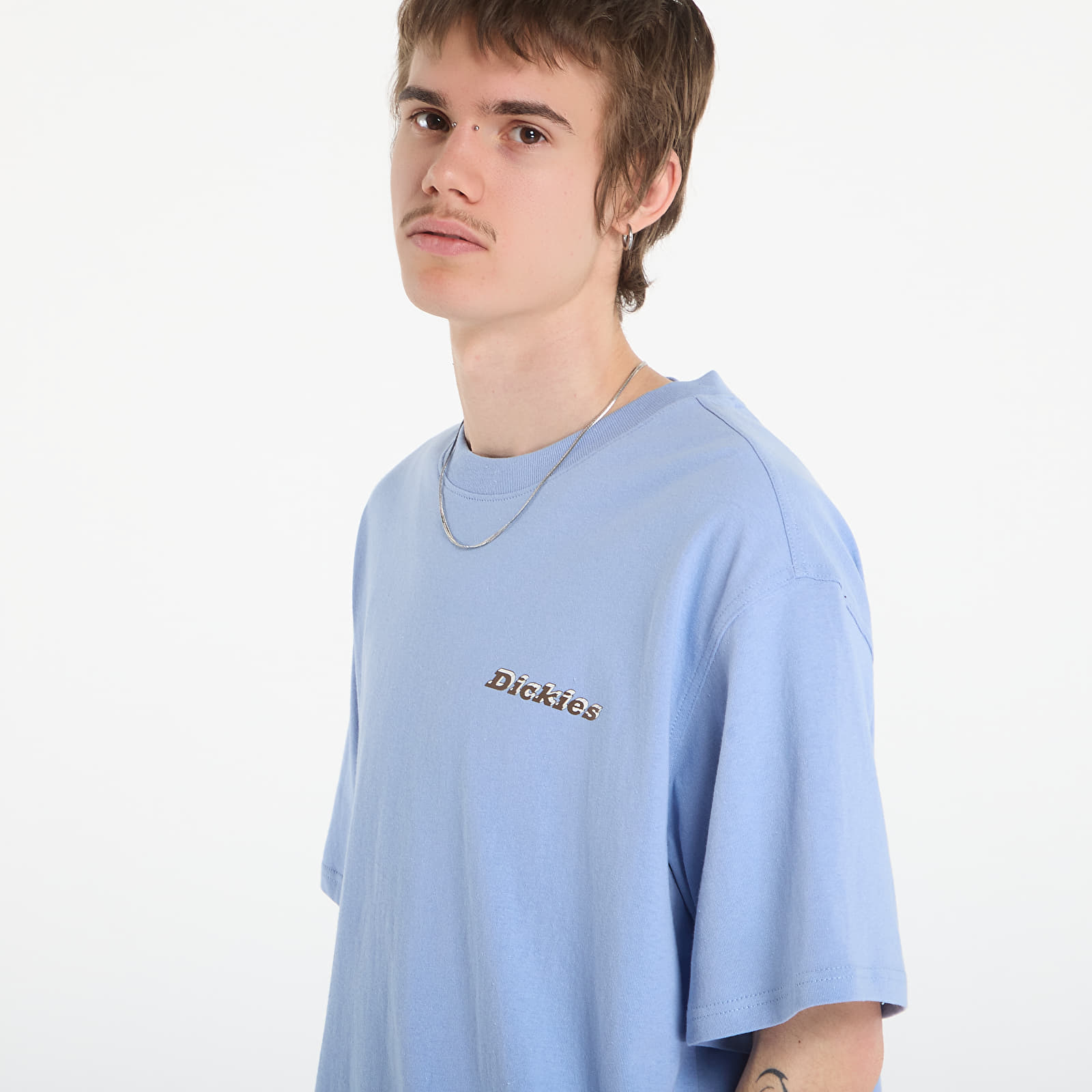 T-shirts Dickies Thornville Ss Tee Endless Sky