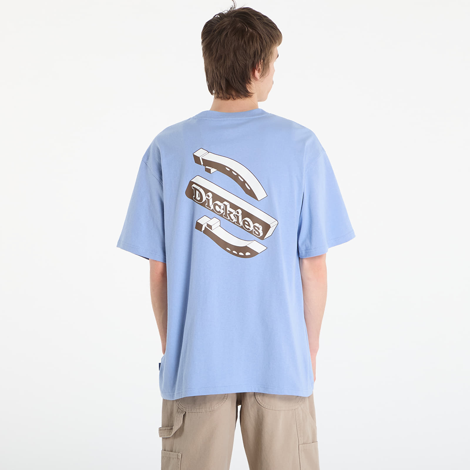 T-shirts Dickies Thornville Ss Tee Endless Sky