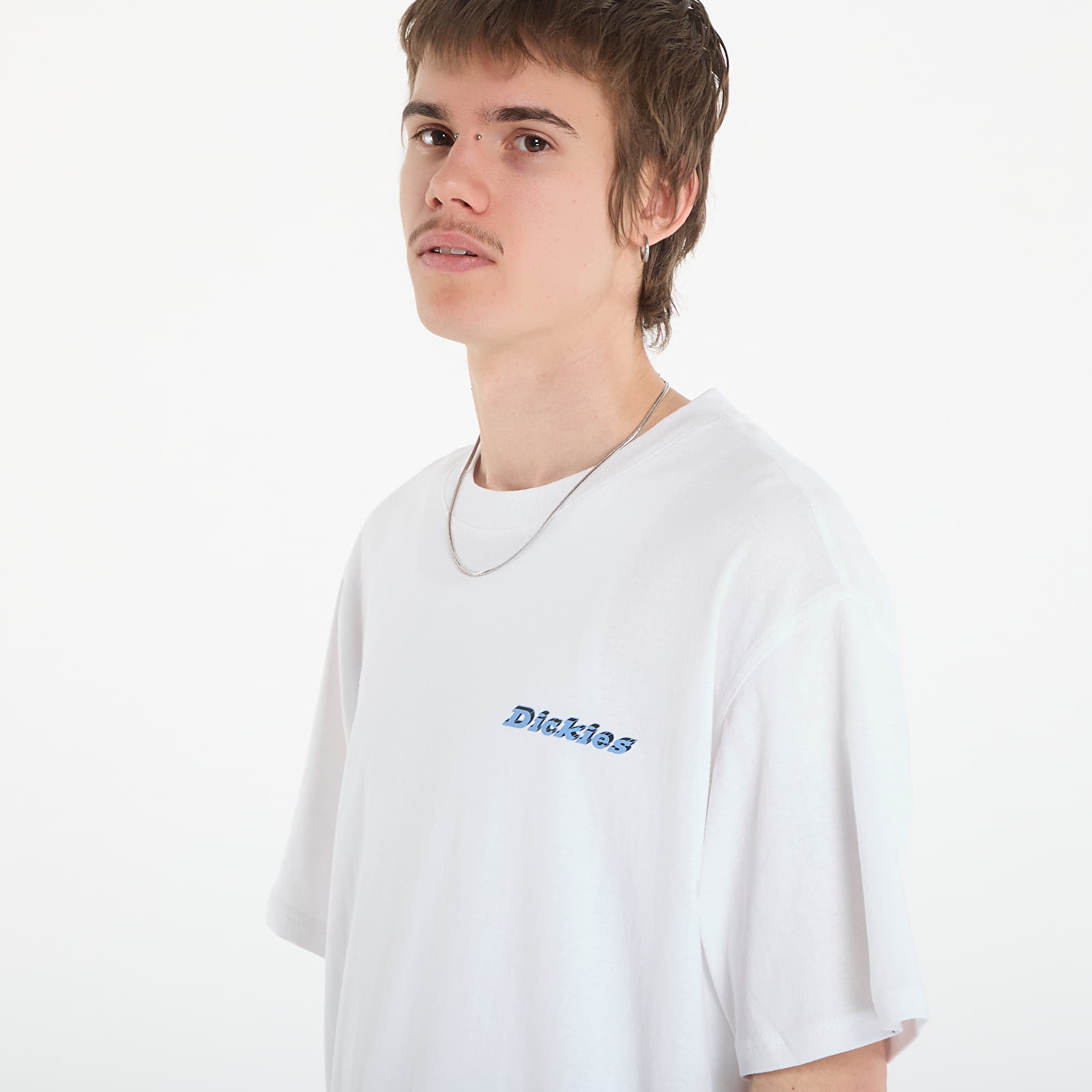 Majice T-shirt Dickies Thornville Ss Tee White