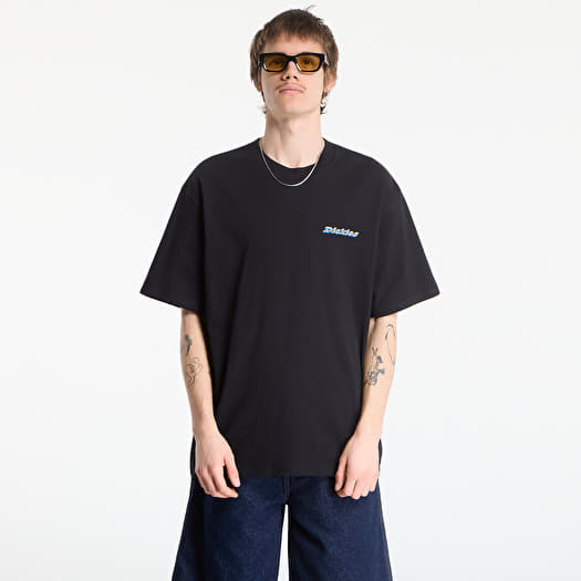 T-shirt Dickies Thornville Ss Tee Black