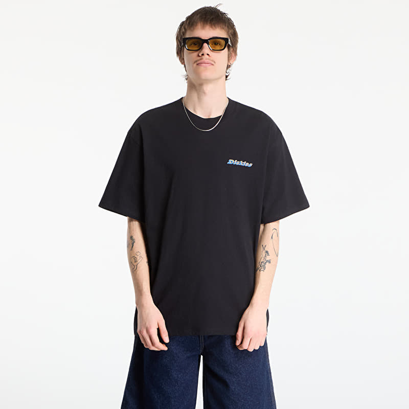 Dickies Thornville Ss Tee Black