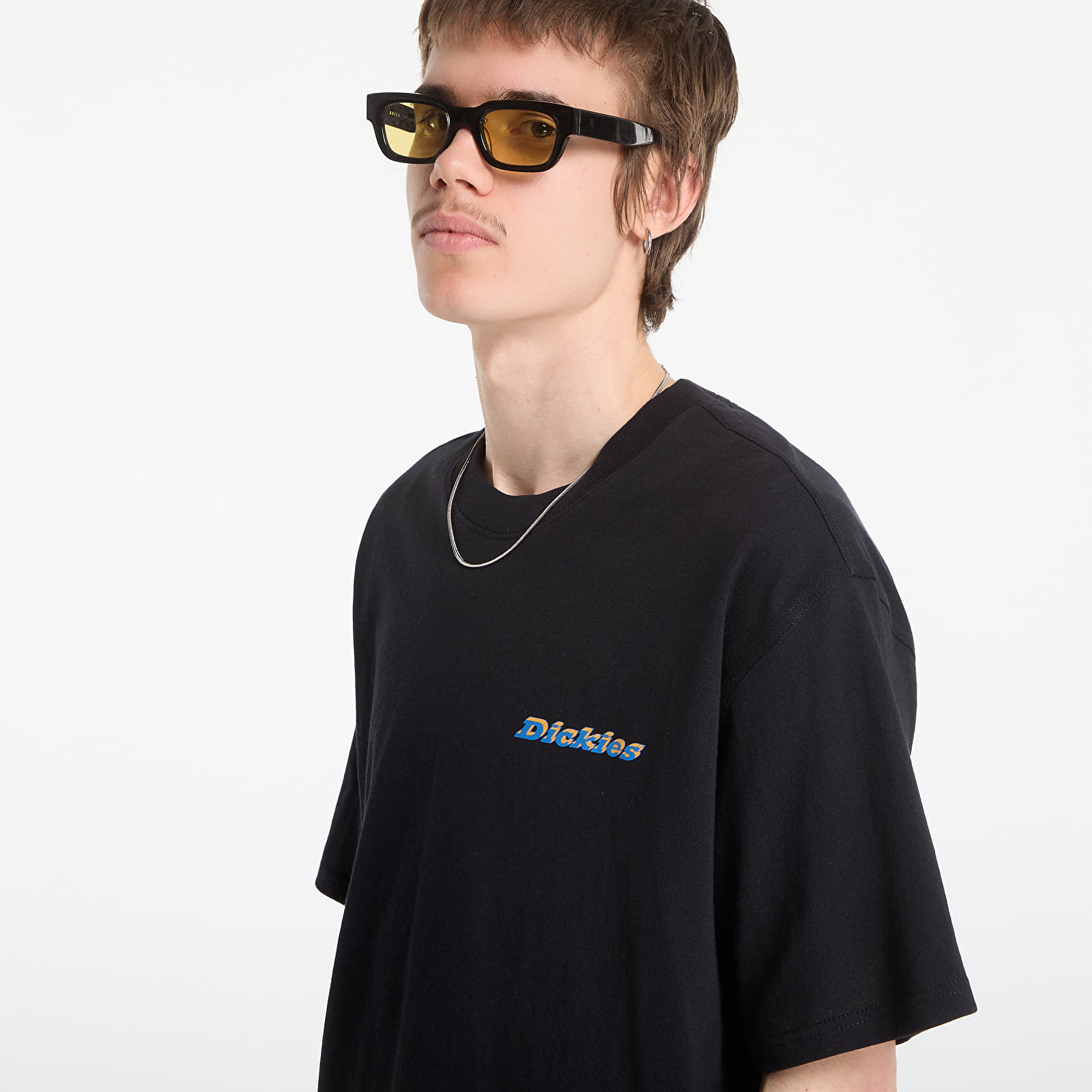 T-shirts Dickies Thornville Ss Tee Black