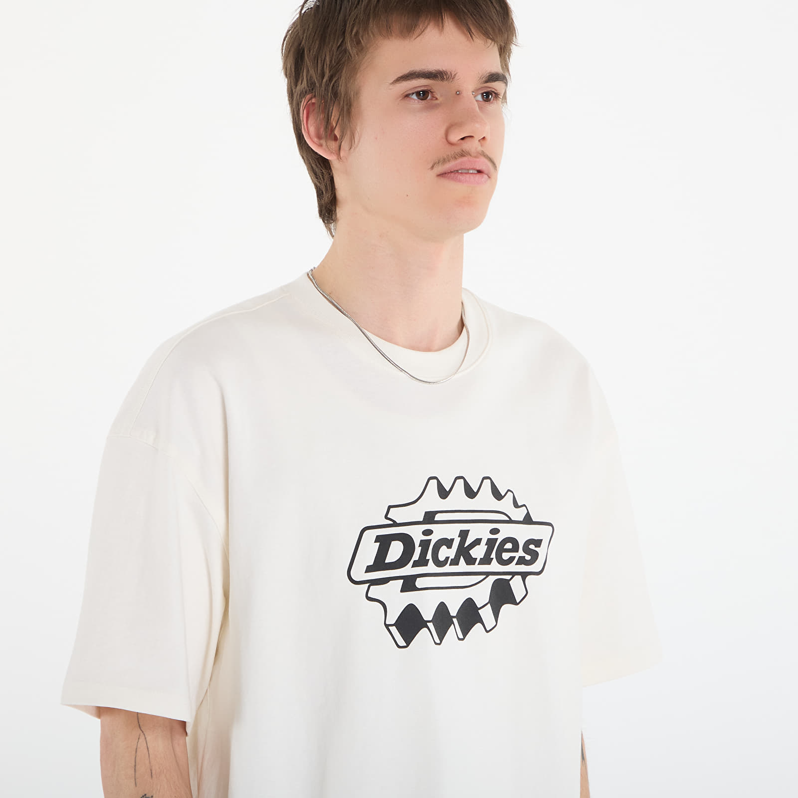 T-shirts Dickies Irondale Ss Tee Egret