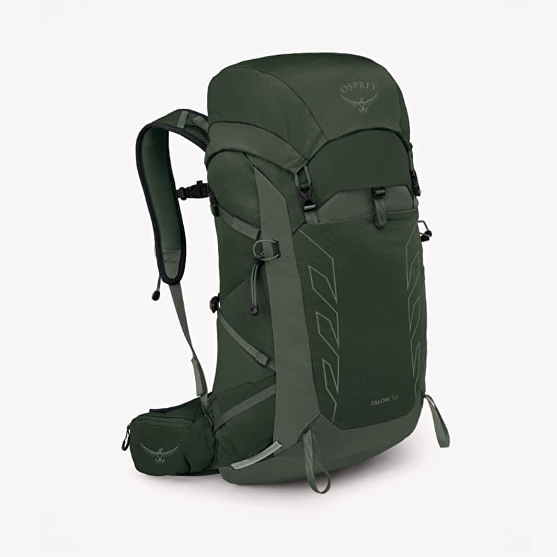Osprey Talon 33 Green Canopy/ Pine Leaf