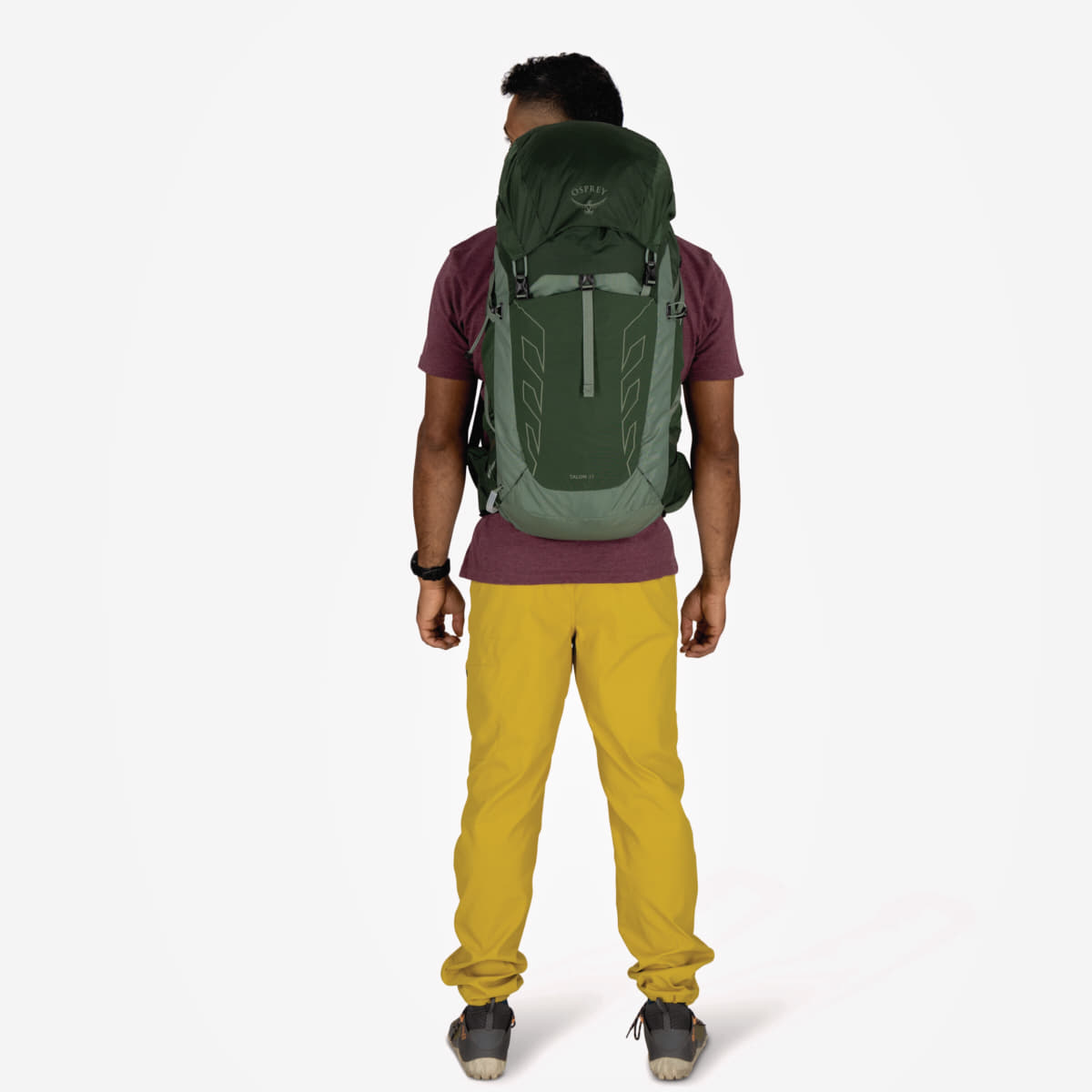 Men's backpacks Osprey Talon 33 Green Canopy/ Pine Leaf