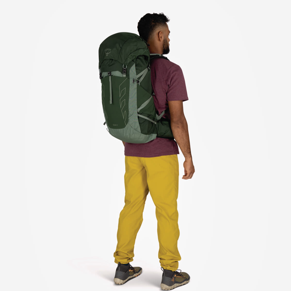 Men's backpacks Osprey Talon 33 Green Canopy/ Pine Leaf