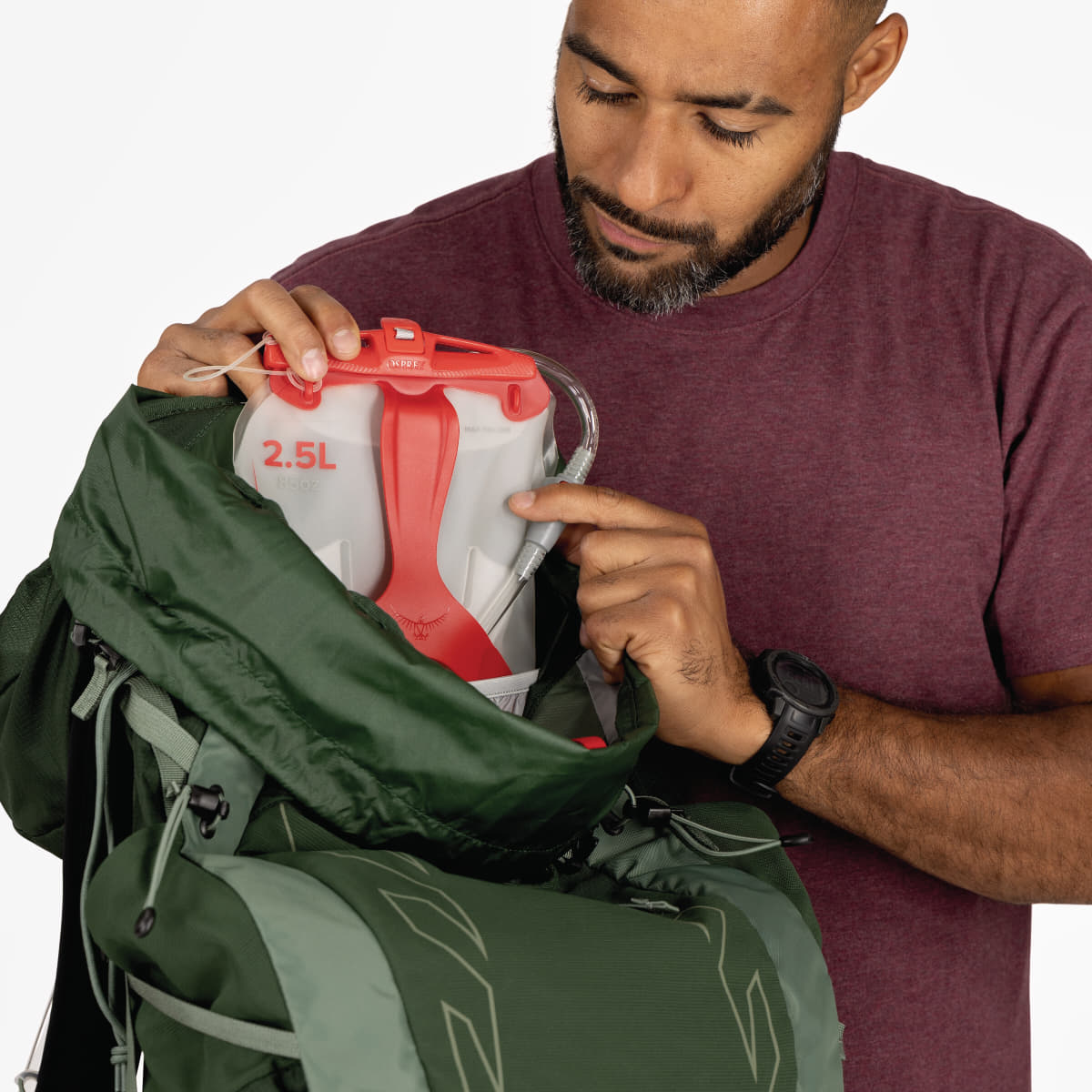 Men's backpacks Osprey Talon 33 Green Canopy/ Pine Leaf