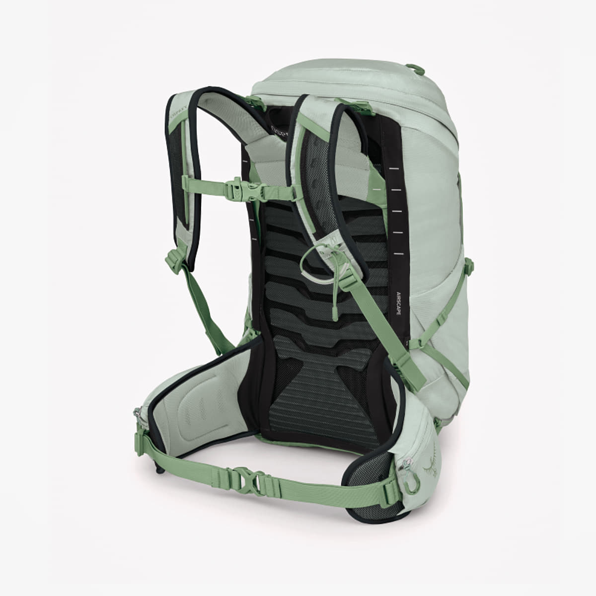 Reput Osprey Tempest 26 Frosty Mint Green/ Botanica