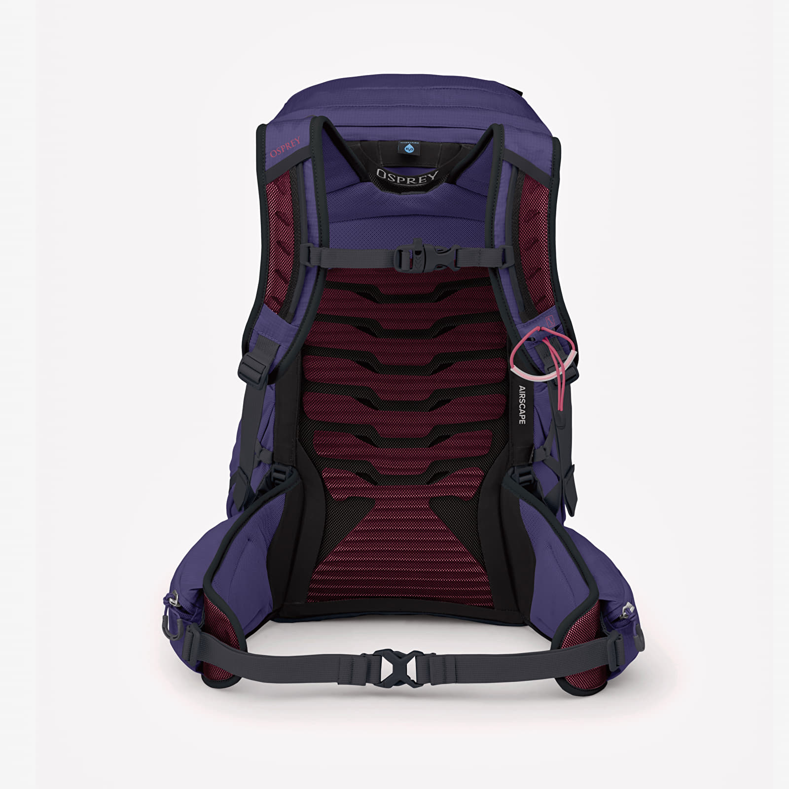 Women's backpack Osprey Tempest 2 Deep Fig/ Hotspot Pink