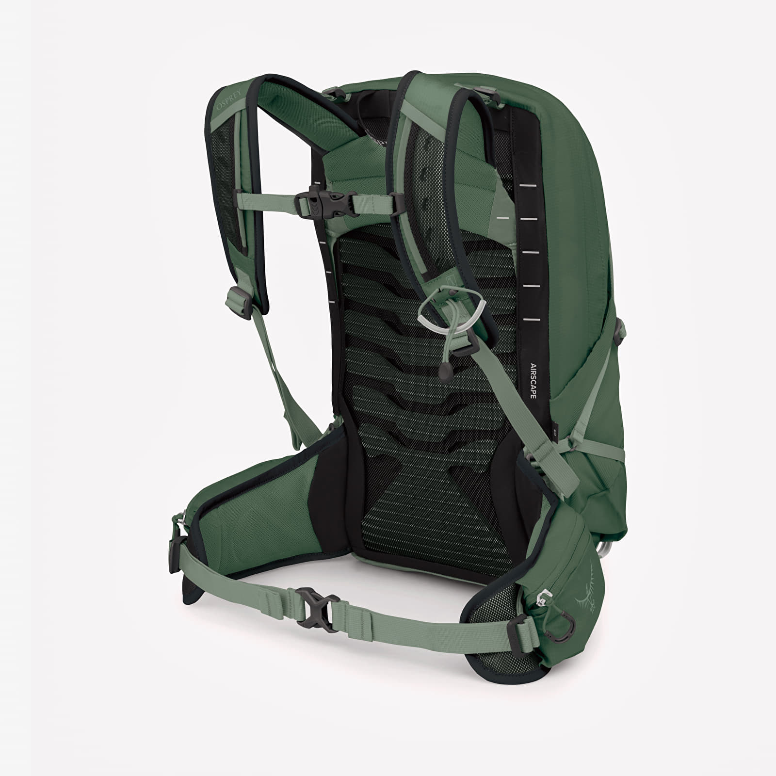 Rygsække til mænd Osprey Talon 11 Green Canopy