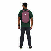 Osprey Arcane Small Day Purple Garnet Heather