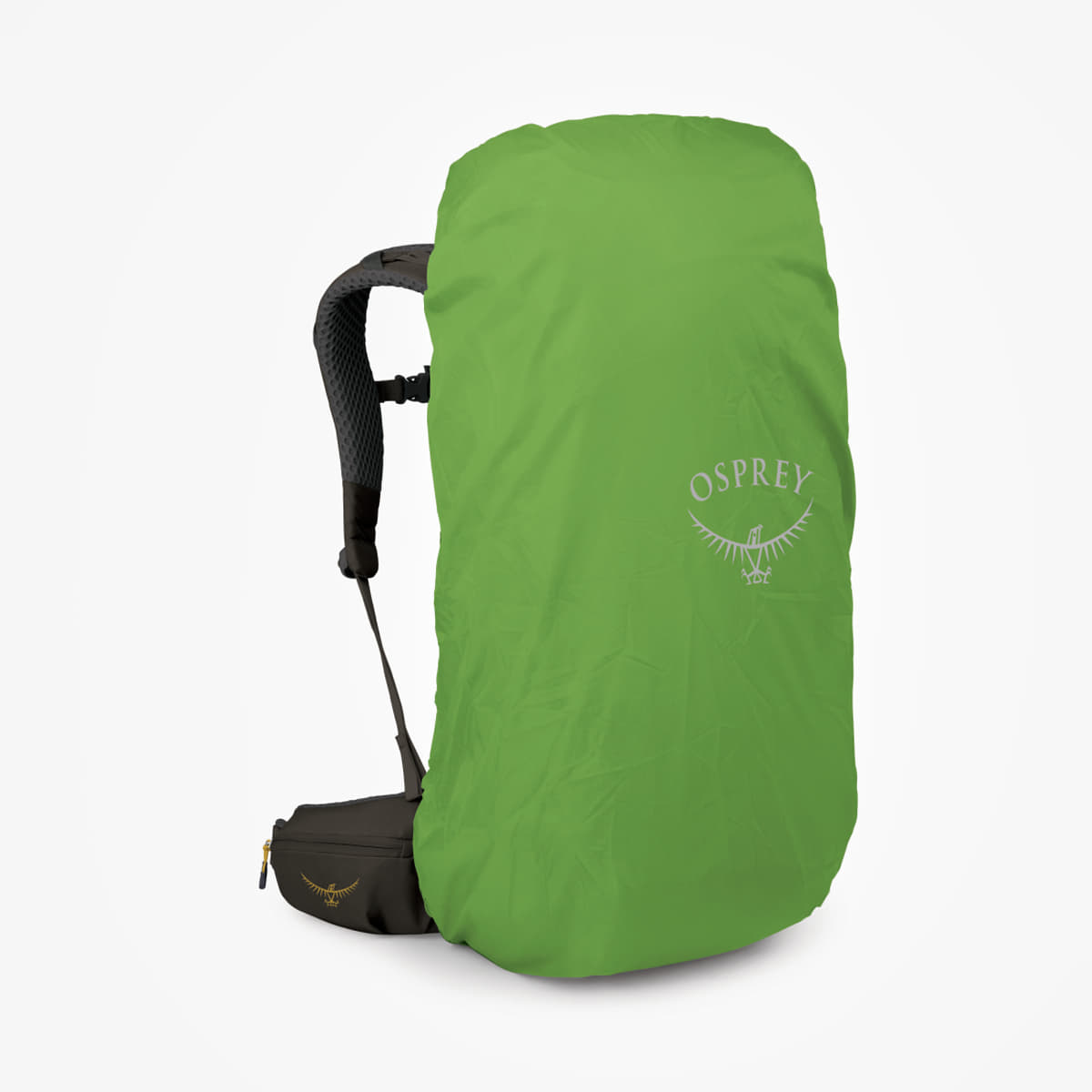 Mochilas para hombres Osprey Kestrel Lt 45 Moss Green