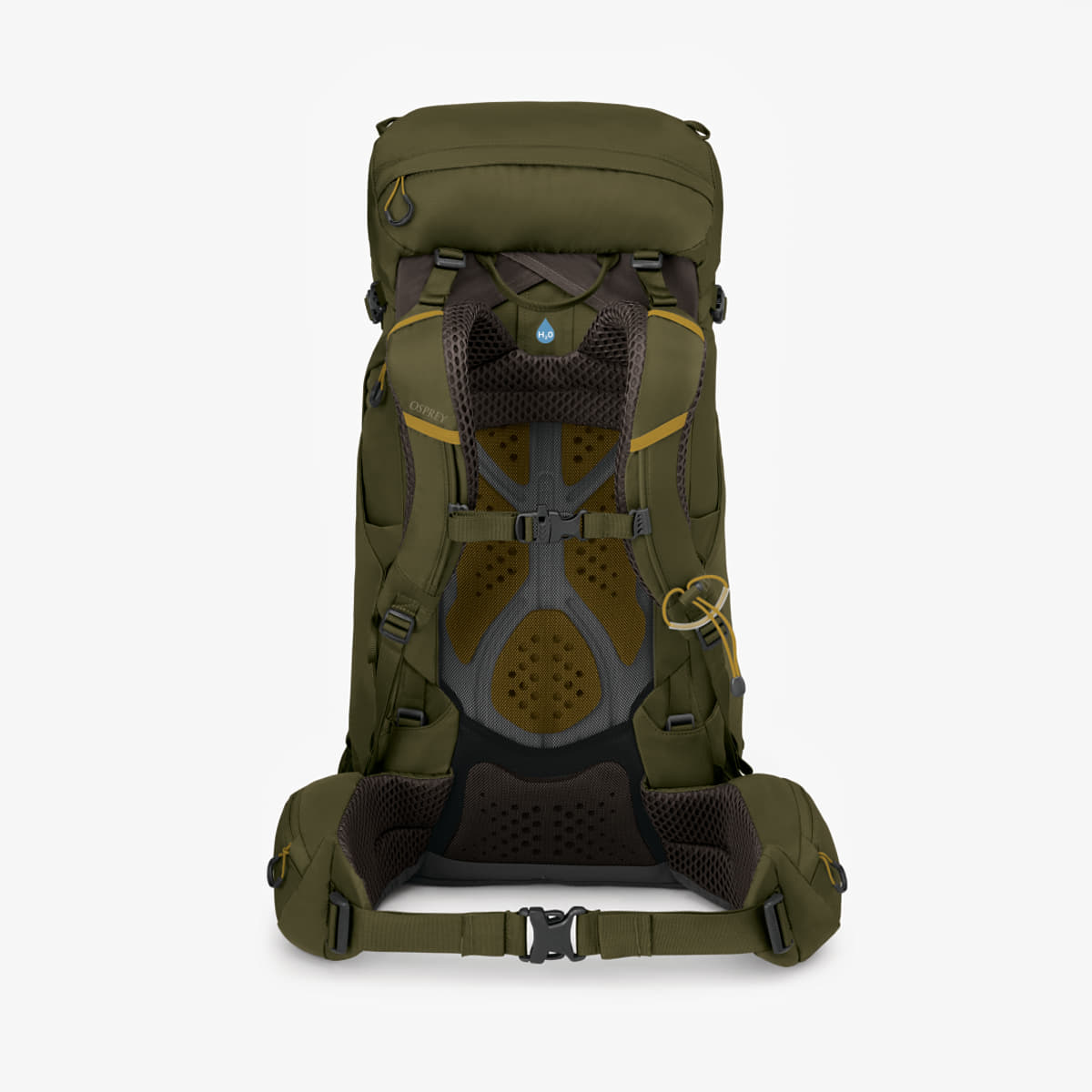 Zaini da uomo  Osprey Kestrel 38 Moss Green