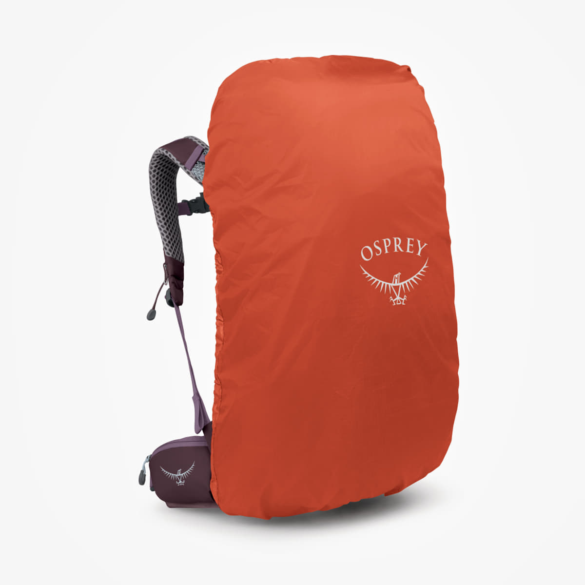 Damen Rusäcke Osprey Sirrus 36 Purple Dusk