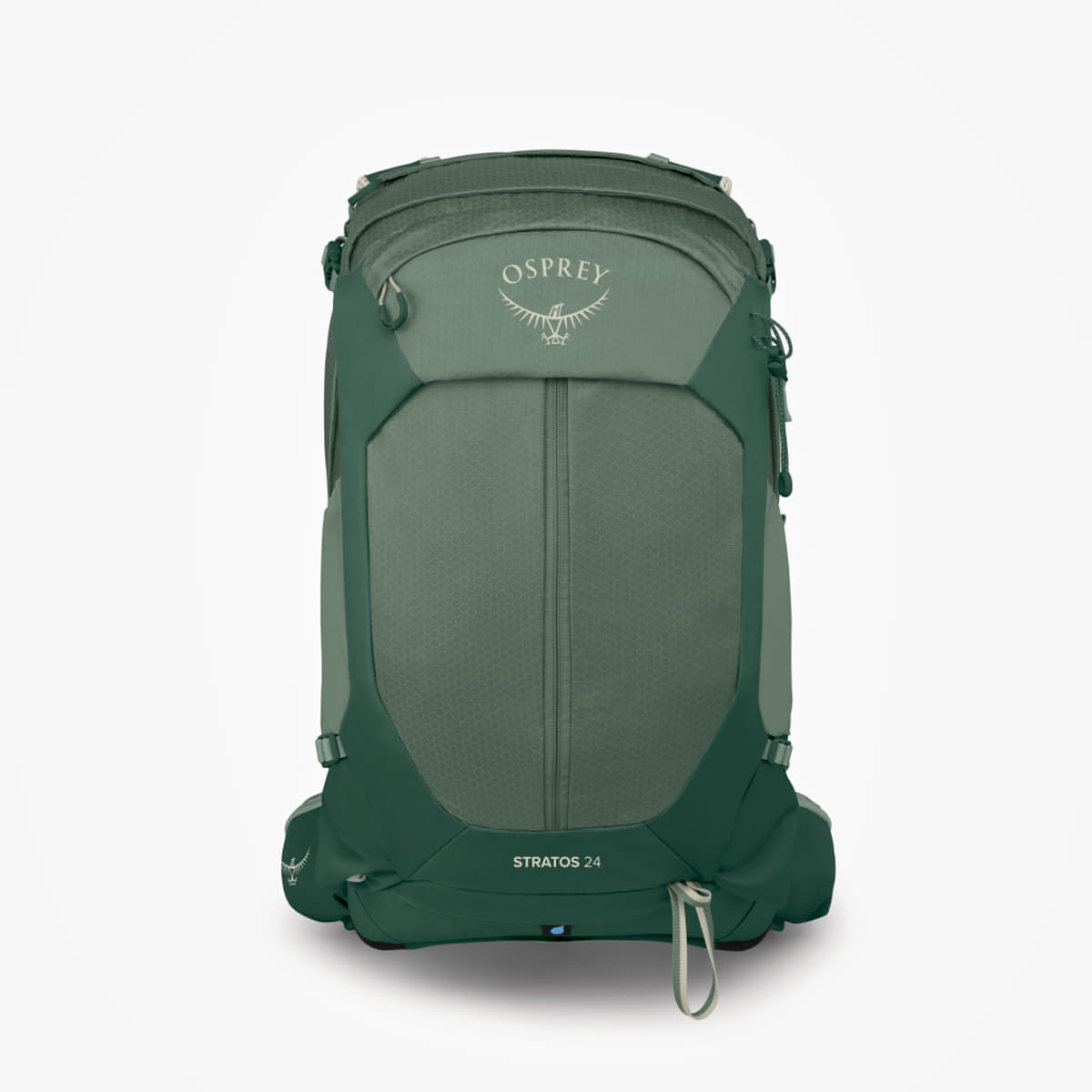 Men's backpacks Osprey Stratos 24 Pine Leaf Green