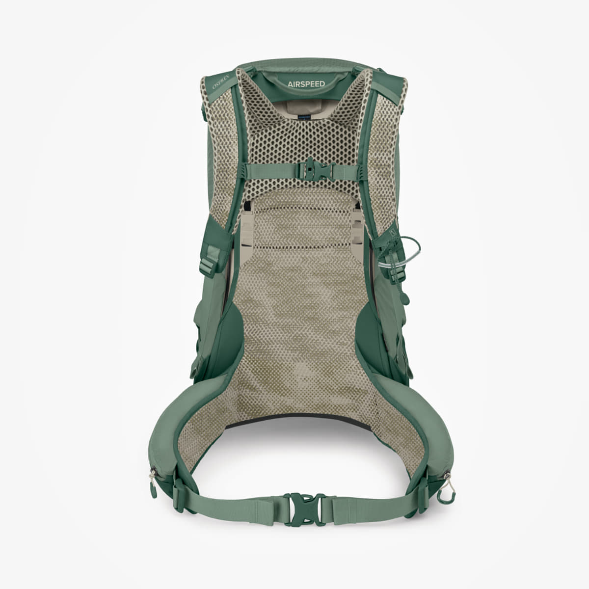 Men's backpacks Osprey Stratos 24 Pine Leaf Green