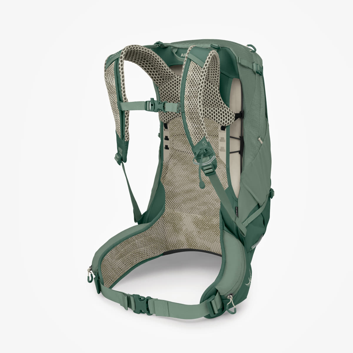 Men's backpacks Osprey Stratos 24 Pine Leaf Green