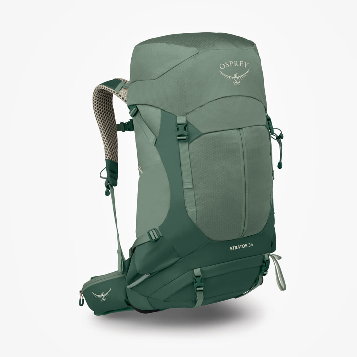 Muški ruksaci Osprey Stratos 36 Pine Leaf Green