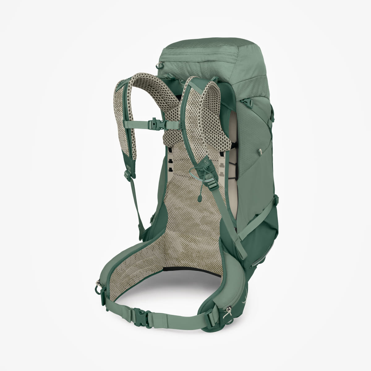 Muški ruksaci Osprey Stratos 36 Pine Leaf Green