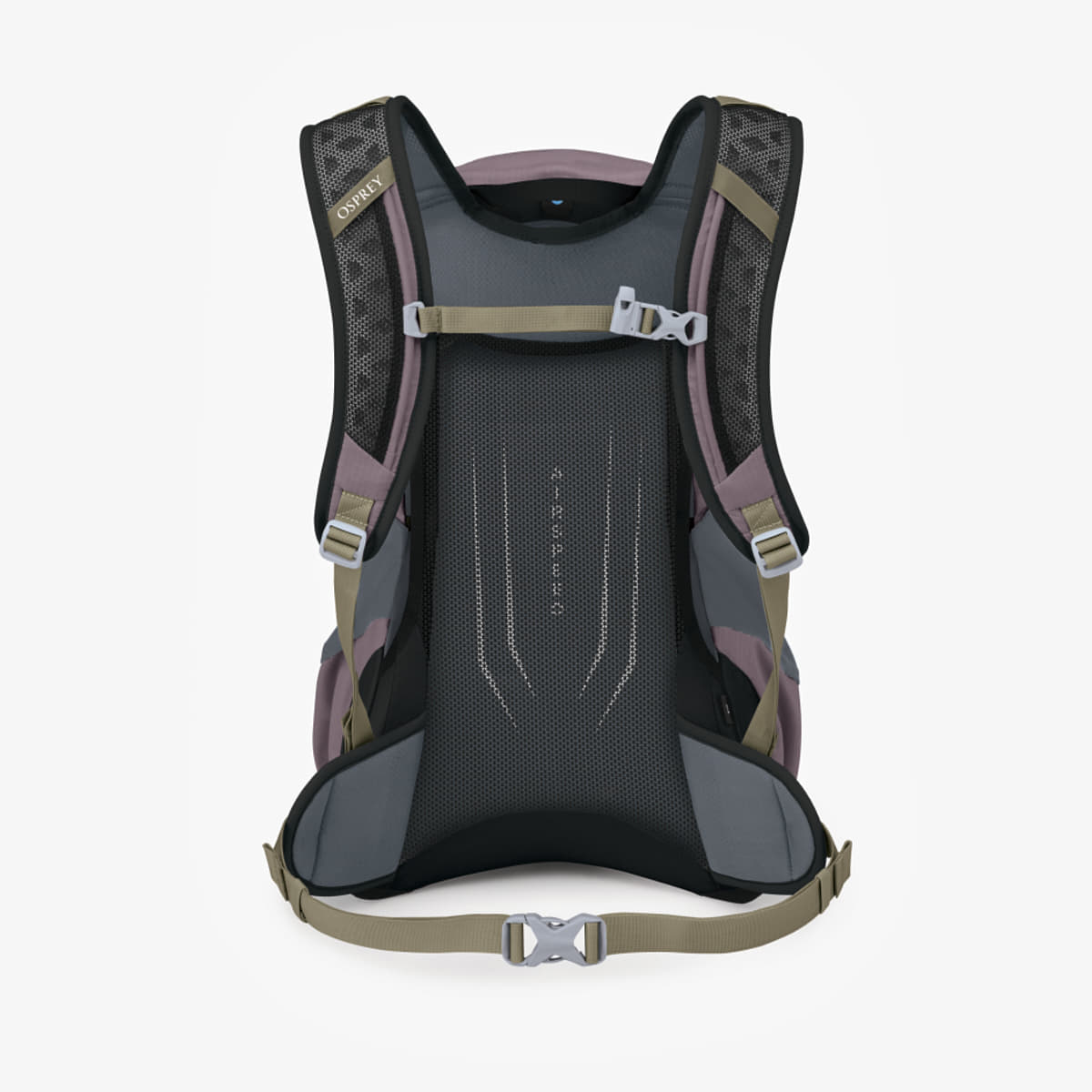 Herren Rucksäcke Osprey Hikelite 18 Graphite Purple