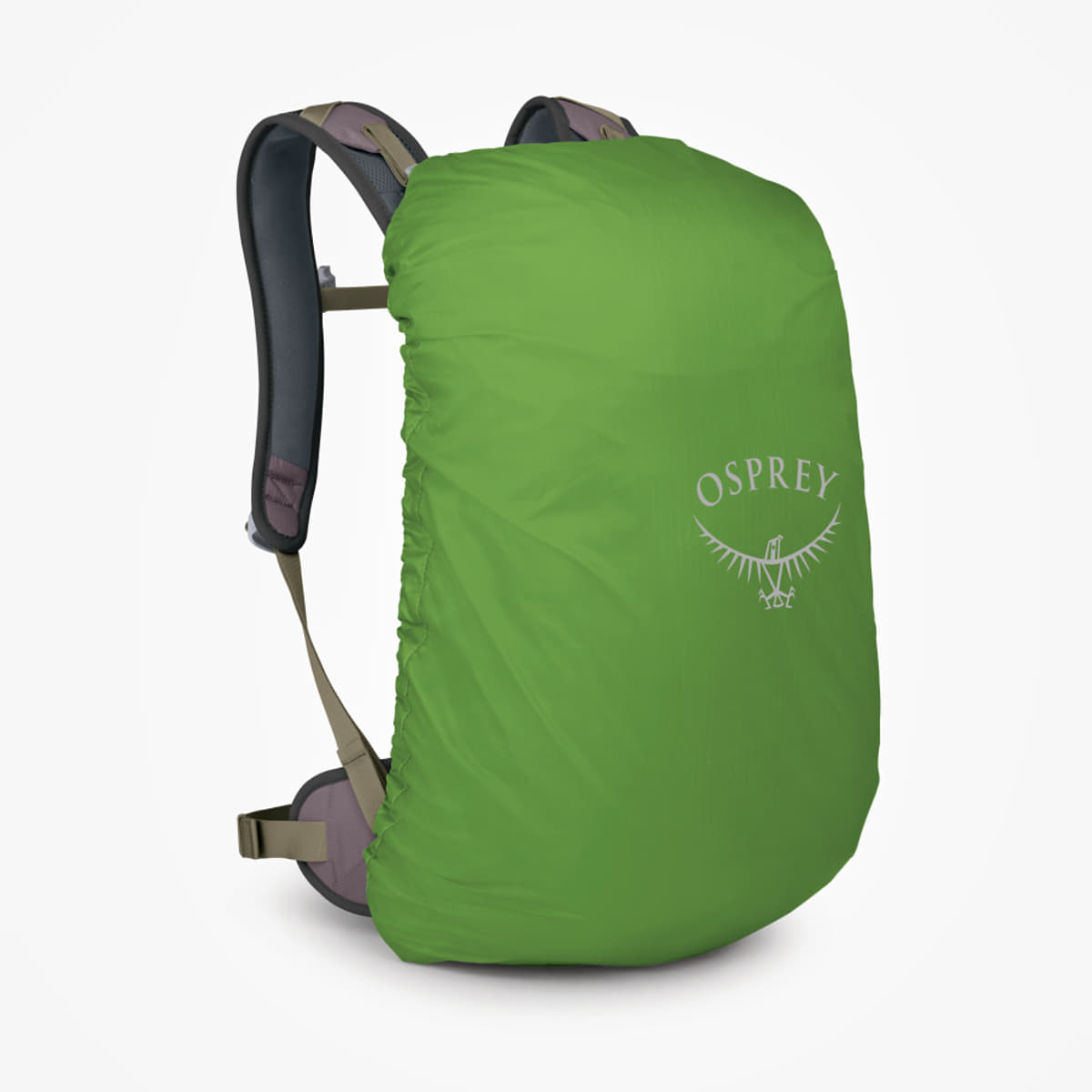 Herren Rucksäcke Osprey Hikelite 18 Graphite Purple