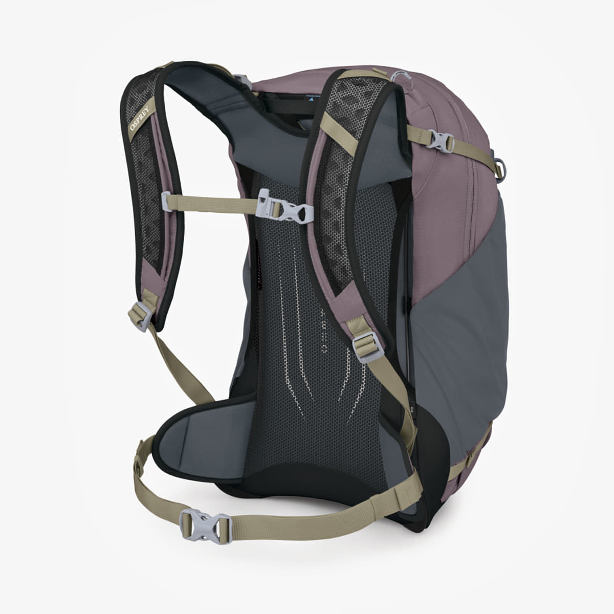 Muški ruksaci Osprey Hikelite 26 Graphite Purple