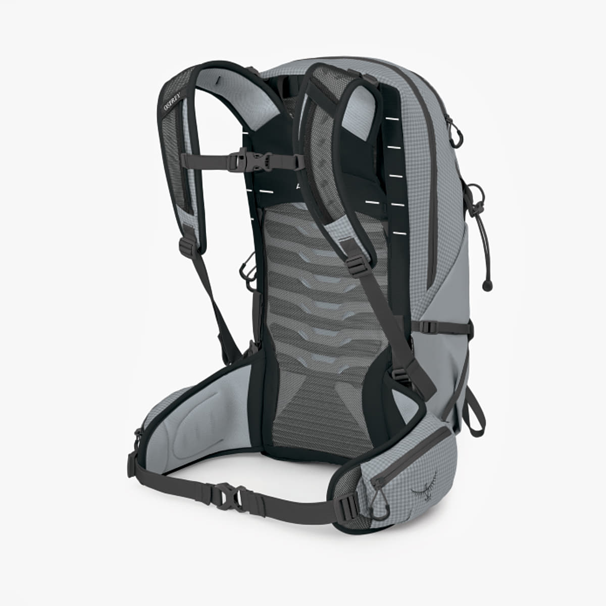 Heren rugzakken Osprey Talon Pro 20 Silver Lining