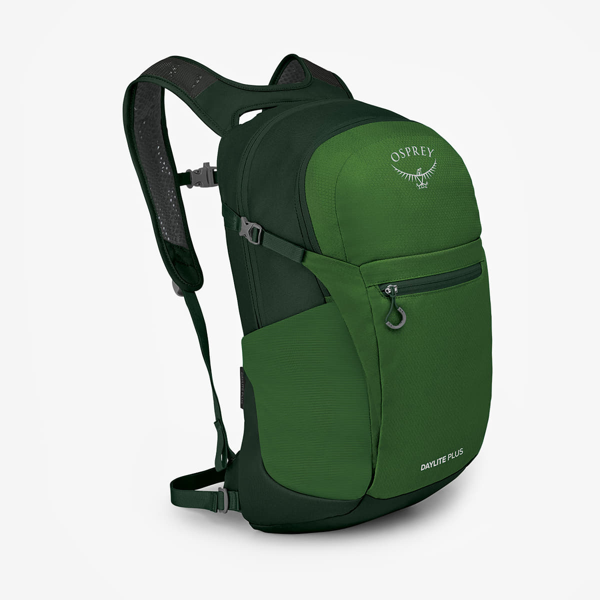 Heren rugzakken Osprey Daylite Plus Green Belt/ Green Canopy